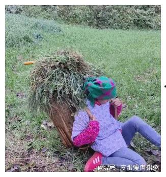 网红小英被曝大瓜,背后真相令人震惊