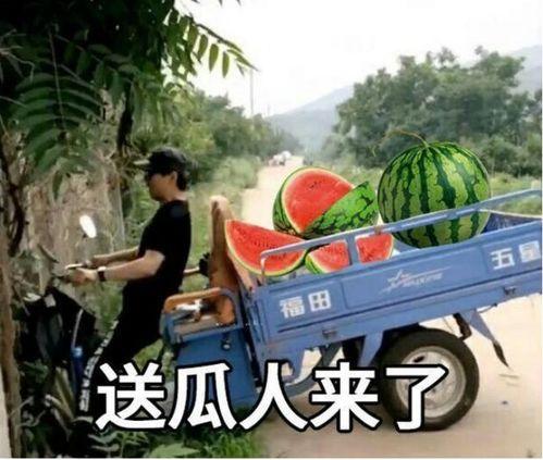 最近大瓜事件,揭秘明星隐私风波背后的真相