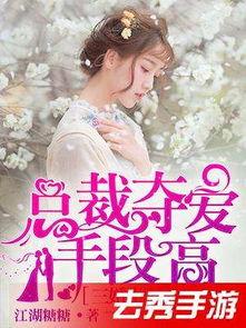 总裁夺爱失婚妻